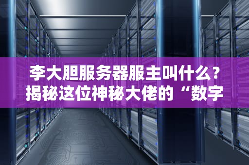 李大胆服务器服主叫什么？揭秘这位神秘大佬的“数字王国”运营术！
