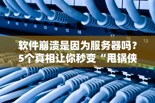 软件崩溃是因为服务器吗？5个真相让你秒变“甩锅侠”