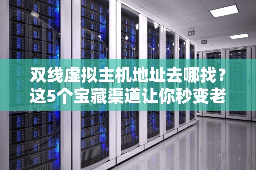 双线虚拟主机地址去哪找？这5个宝藏渠道让你秒变老司机！