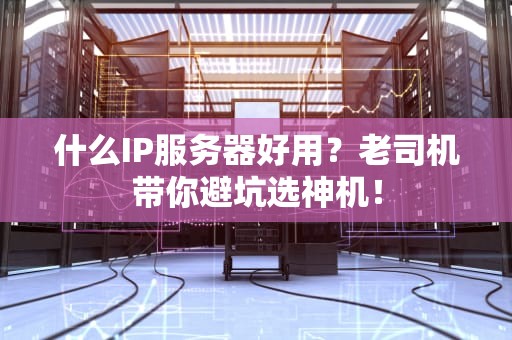 什么IP服务器好用？老司机带你避坑选神机！