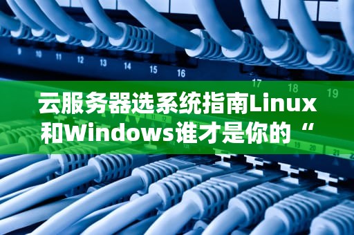 云服务器选系统指南Linux和Windows谁才是你的“真命天子”？
