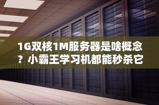 1G双核1M服务器是啥概念？小霸王学习机都能秒杀它？