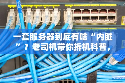 一套服务器到底有啥“内脏”？老司机带你拆机科普，看完秒变IT达人！
