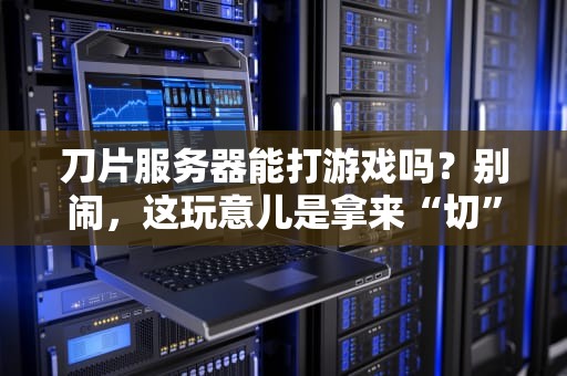 刀片服务器能打游戏吗？别闹，这玩意儿是拿来“切”数据的！