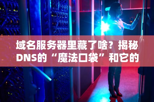 域名服务器里藏了啥？揭秘DNS的“魔法口袋”和它的神奇宝贝们！