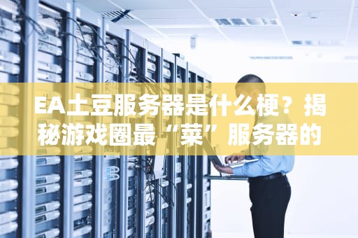 EA土豆服务器是什么梗？揭秘游戏圈最“菜”服务器的前世今生！
