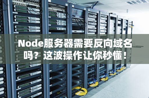 Node服务器需要反向域名吗？这波操作让你秒懂！