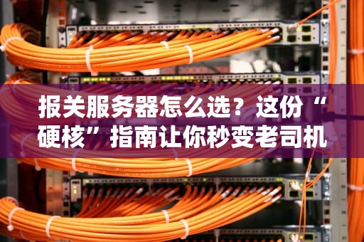 报关服务器怎么选？这份“硬核”指南让你秒变老司机！
