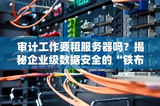 审计工作要租服务器吗？揭秘企业级数据安全的“铁布衫”