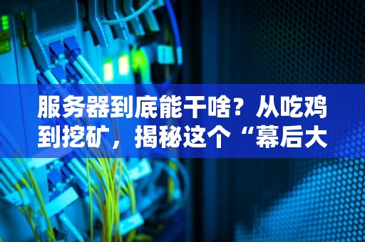 服务器到底能干啥？从吃鸡到挖矿，揭秘这个“幕后大佬”的十八般武艺！