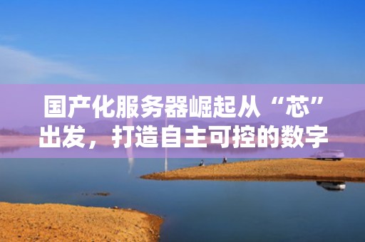 国产化服务器崛起从“芯”出发，打造自主可控的数字基石