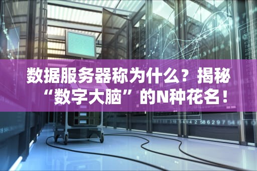 数据服务器称为什么？揭秘“数字大脑”的N种花名！