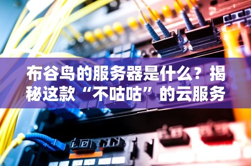 布谷鸟的服务器是什么？揭秘这款“不咕咕”的云服务黑马！