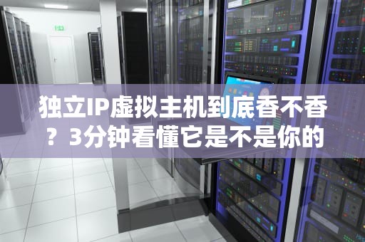 独立IP虚拟主机到底香不香？3分钟看懂它是不是你的“真命天机”