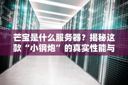 芒宝是什么服务器？揭秘这款“小钢炮”的真实性能与适用场景！