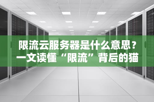 限流云服务器是什么意思？一文读懂“限流”背后的猫腻与应对妙招！