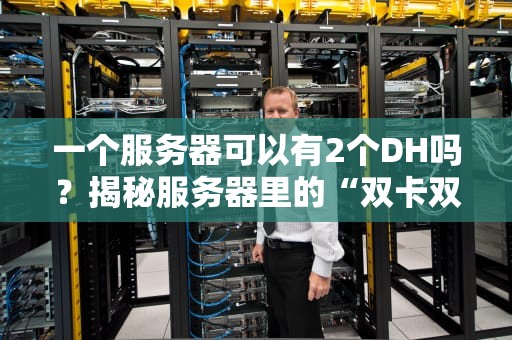 一个服务器可以有2个DH吗？揭秘服务器里的“双卡双待”骚操作！
