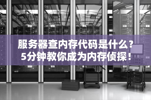 服务器查内存代码是什么？5分钟教你成为内存侦探！