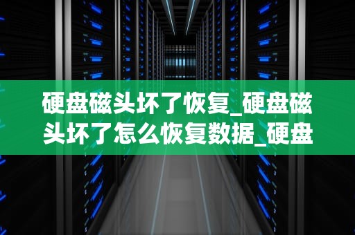 硬盘磁头坏了恢复_硬盘磁头坏了怎么恢复数据_硬盘磁头坏了恢复的全面指南