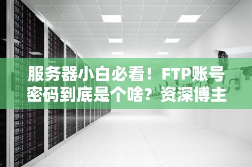 服务器小白必看！FTP账号密码到底是个啥？资深博主用“外卖比喻”给你整明白