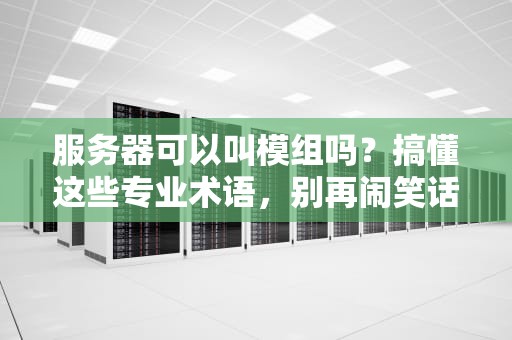 服务器可以叫模组吗？搞懂这些专业术语，别再闹笑话啦！