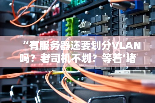 “有服务器还要划分VLAN吗？老司机不划？等着‘堵车’吧！”