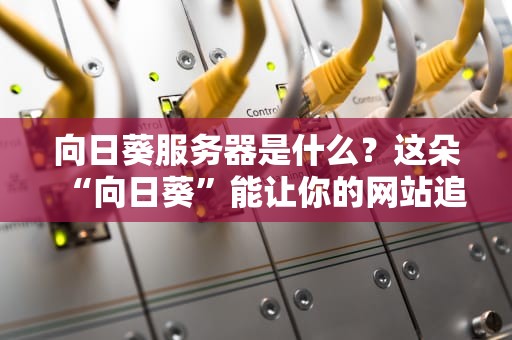 向日葵服务器是什么？这朵“向日葵”能让你的网站追着太阳跑！