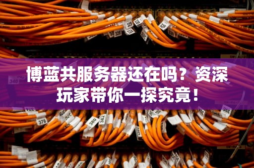 博蓝共服务器还在吗？资深玩家带你一探究竟！