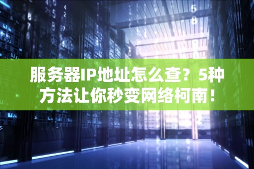 服务器IP地址怎么查？5种方法让你秒变网络柯南！