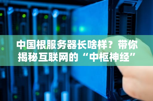 中国根服务器长啥样？带你揭秘互联网的“中枢神经”！（附专业测评）