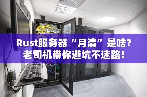 Rust服务器“月清”是啥？老司机带你避坑不迷路！
