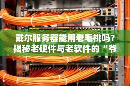 戴尔服务器能用老毛桃吗？揭秘老硬件与老软件的“爷青回”组合！