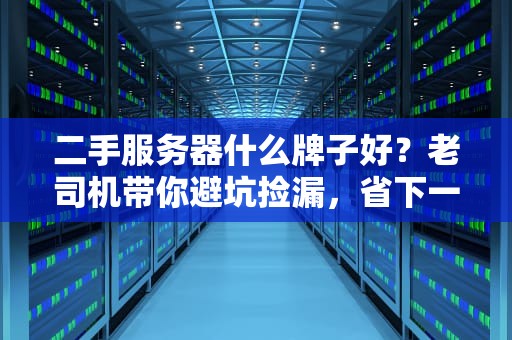 二手服务器什么牌子好？老司机带你避坑捡漏，省下一个小目标！