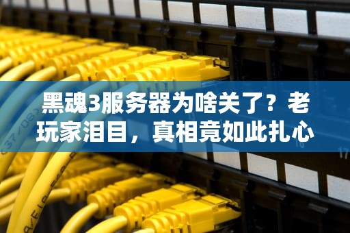 黑魂3服务器为啥关了？老玩家泪目，真相竟如此扎心！