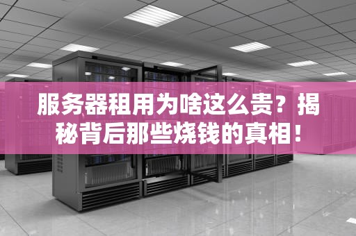 服务器租用为啥这么贵？揭秘背后那些烧钱的真相！