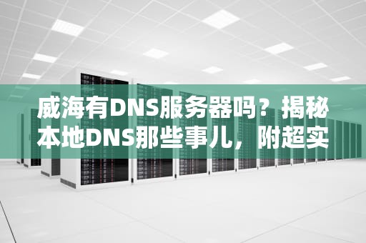 威海有DNS服务器吗？揭秘本地DNS那些事儿，附超实用测速技巧！