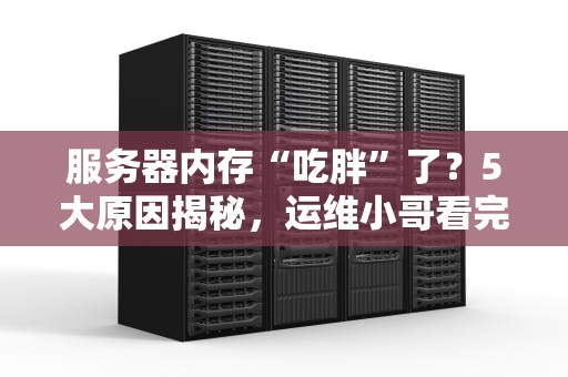 服务器内存“吃胖”了？5大原因揭秘，运维小哥看完直呼内行！