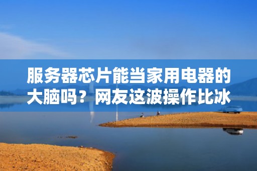 服务器芯片能当家用电器的大脑吗？网友这波操作比冰箱装RTX还硬核！