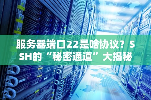 服务器端口22是啥协议？SSH的“秘密通道”大揭秘！
