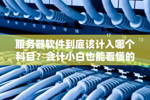 服务器软件到底该计入哪个科目？会计小白也能看懂的硬核科普！