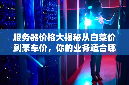 服务器价格大揭秘从白菜价到豪车价，你的业务适合哪一款？