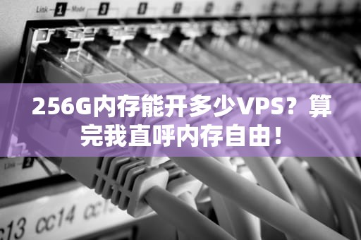256G内存能开多少VPS？算完我直呼内存自由！