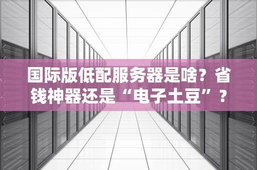 国际版低配服务器是啥？省钱神器还是“电子土豆”？老司机实测告诉你真相！