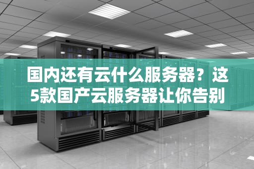 国内还有云什么服务器？这5款国产云服务器让你告别选择困难症！
