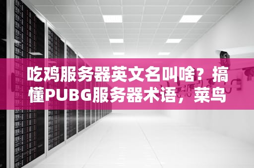 吃鸡服务器英文名叫啥？搞懂PUBG服务器术语，菜鸟秒变老司机！