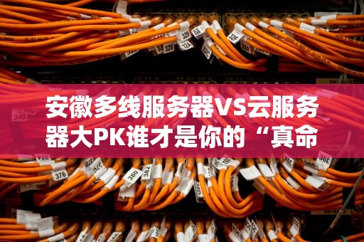 安徽多线服务器VS云服务器大PK谁才是你的“真命天子”？