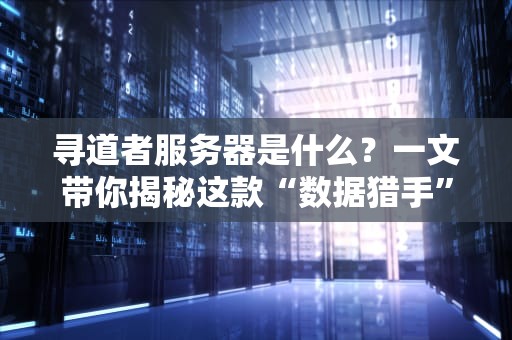 寻道者服务器是什么？一文带你揭秘这款“数据猎手”的硬核实力！