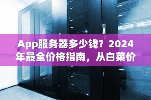 App服务器多少钱？2024年最全价格指南，从白菜价到土豪配置都在这！