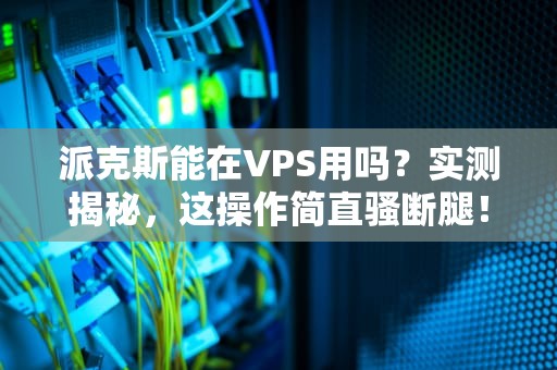 派克斯能在VPS用吗？实测揭秘，这操作简直骚断腿！
