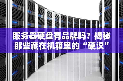 服务器硬盘有品牌吗？揭秘那些藏在机箱里的“硬汉”们！